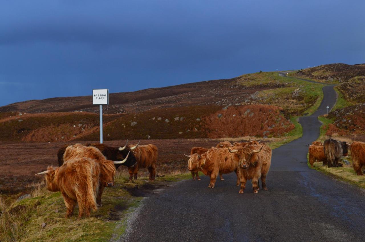 Rosemount Cottage Two - Highland Cottage Garve Esterno foto