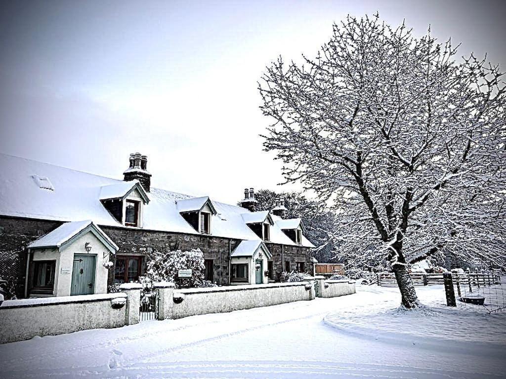 Rosemount Cottage Two - Highland Cottage Garve Esterno foto